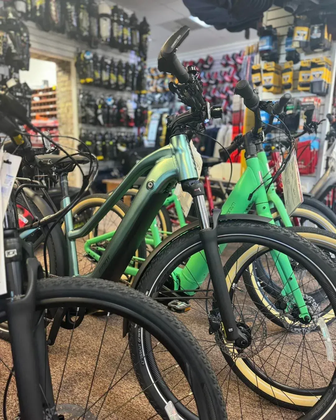 A row of bicycles are lined up in a store.