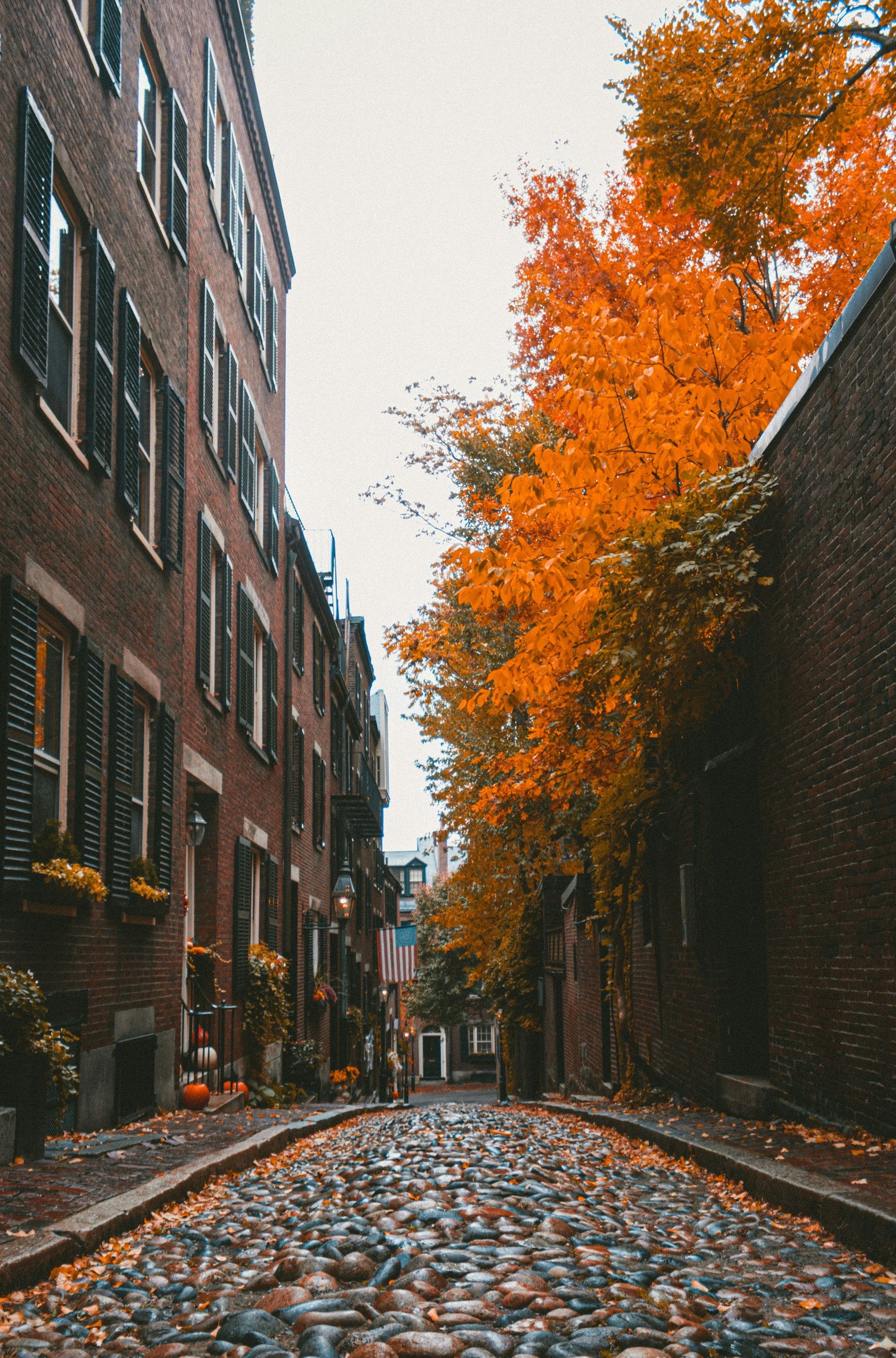 Narrow cobblestone street between brick buildings and orange autumn trees