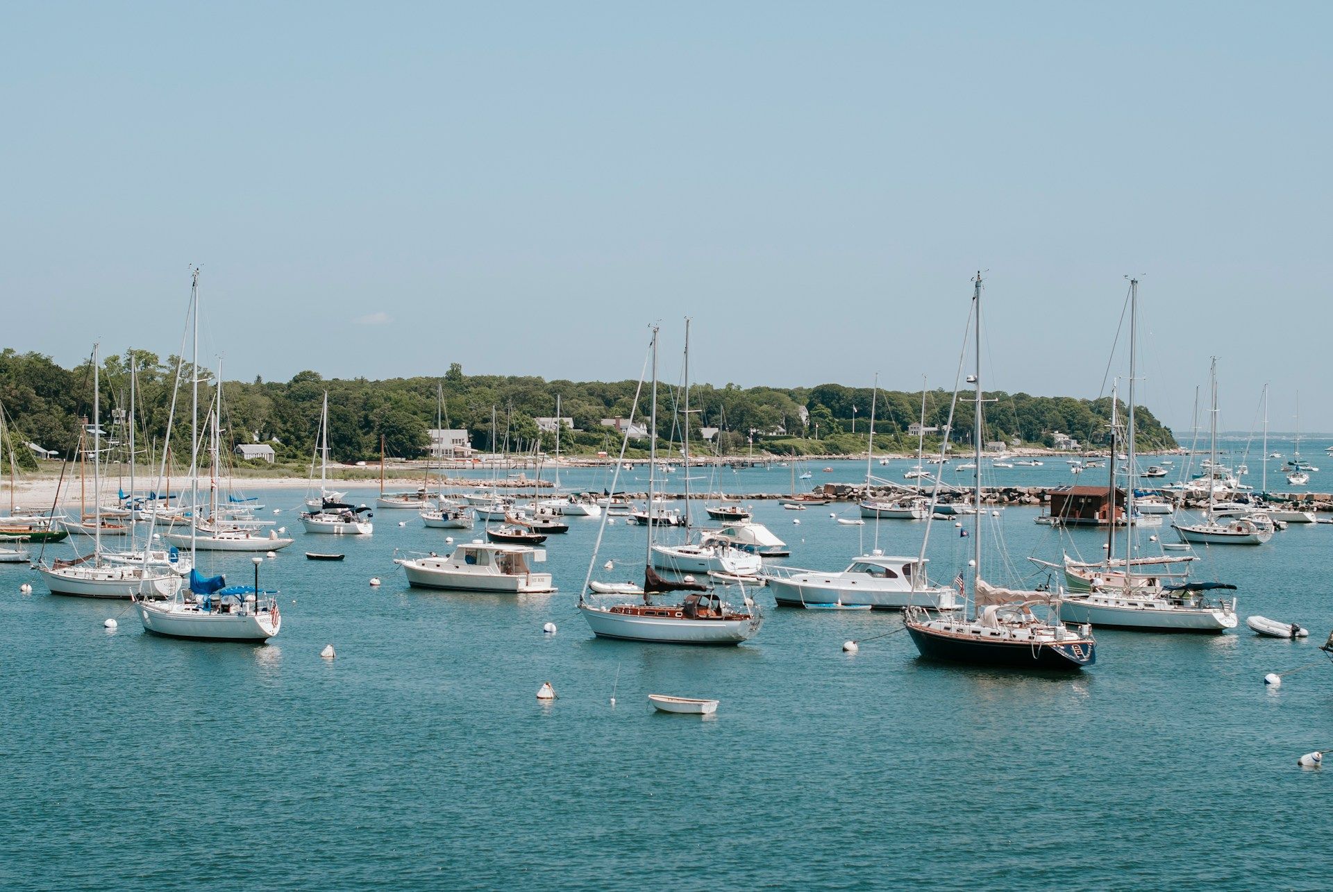 Many sailboats anchored in a calm blue harbor near a tree-lined shore