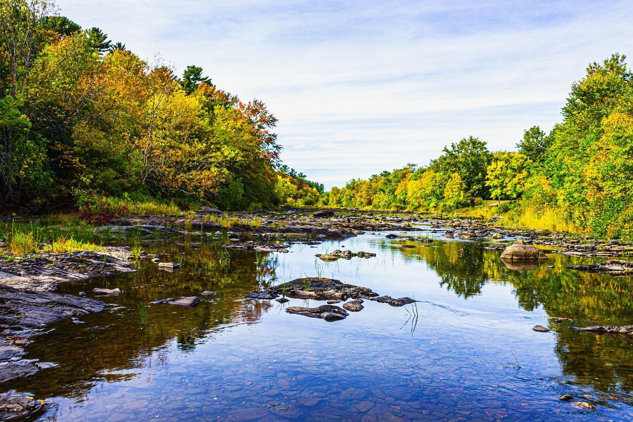 Forest river with calm reflections, rocky shallows, and autumn trees under a clear blue sky