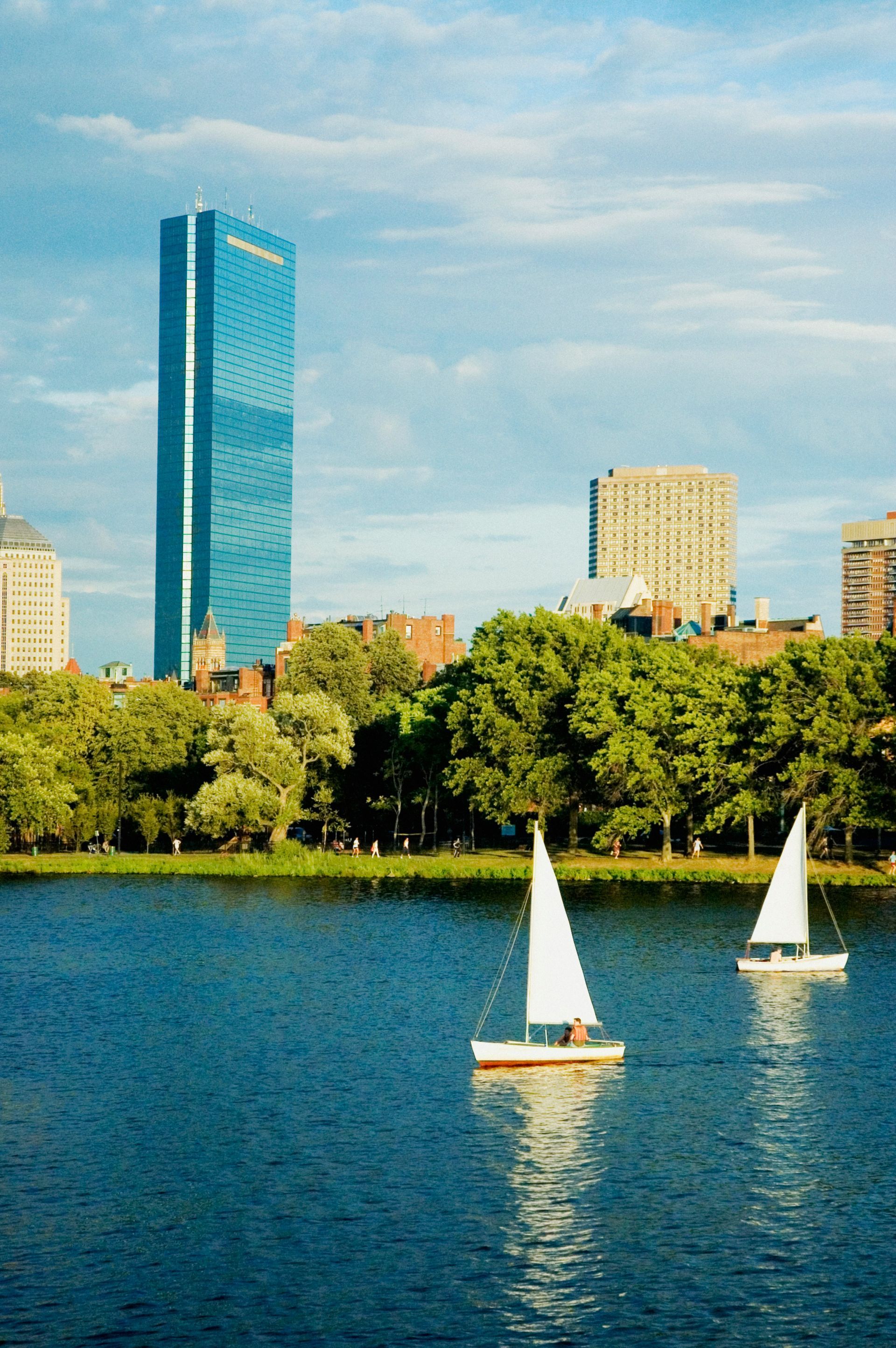 Sailboats on a blue lake with a city skyline and tall glass tower behind green trees