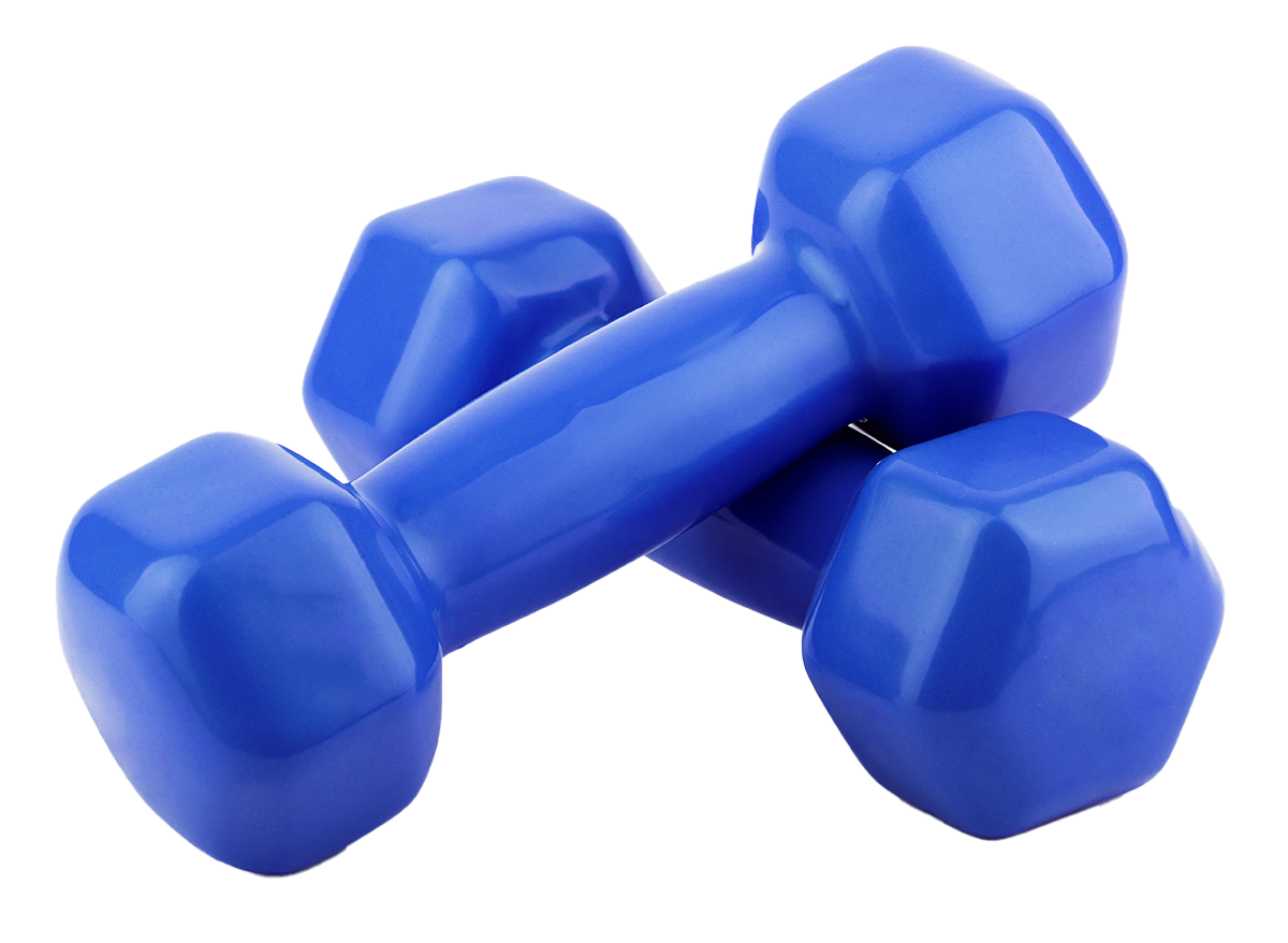 Blue dumbbells, angled, ready for exercise.