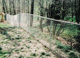 A chain link fence surrounds a grassy area in the woods.