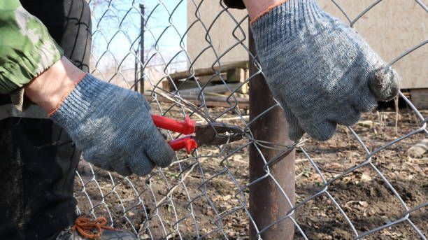 A person is cutting a chain link fence with a pair of scissors.