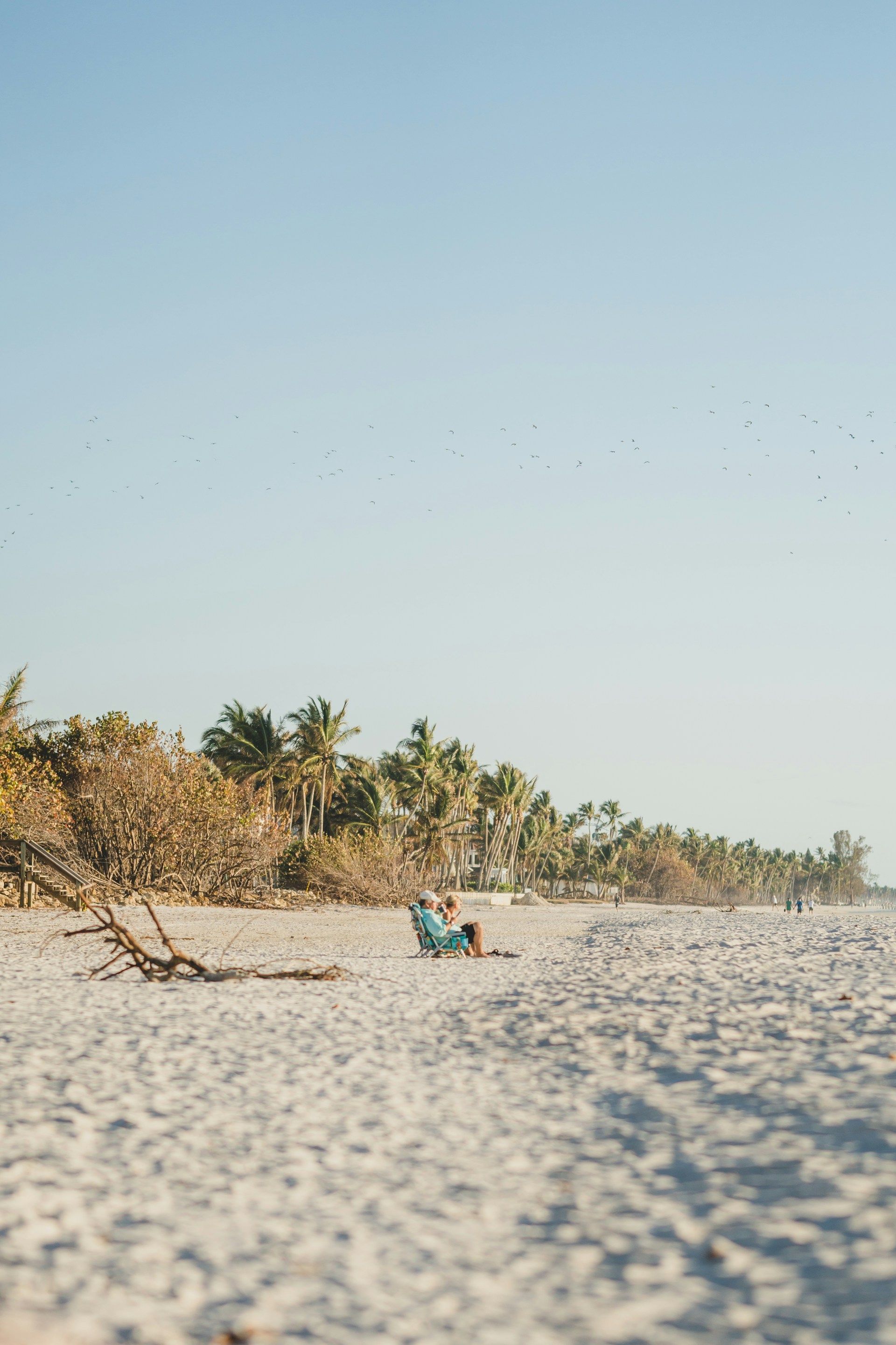 A person is sitting in a chair on the beach.