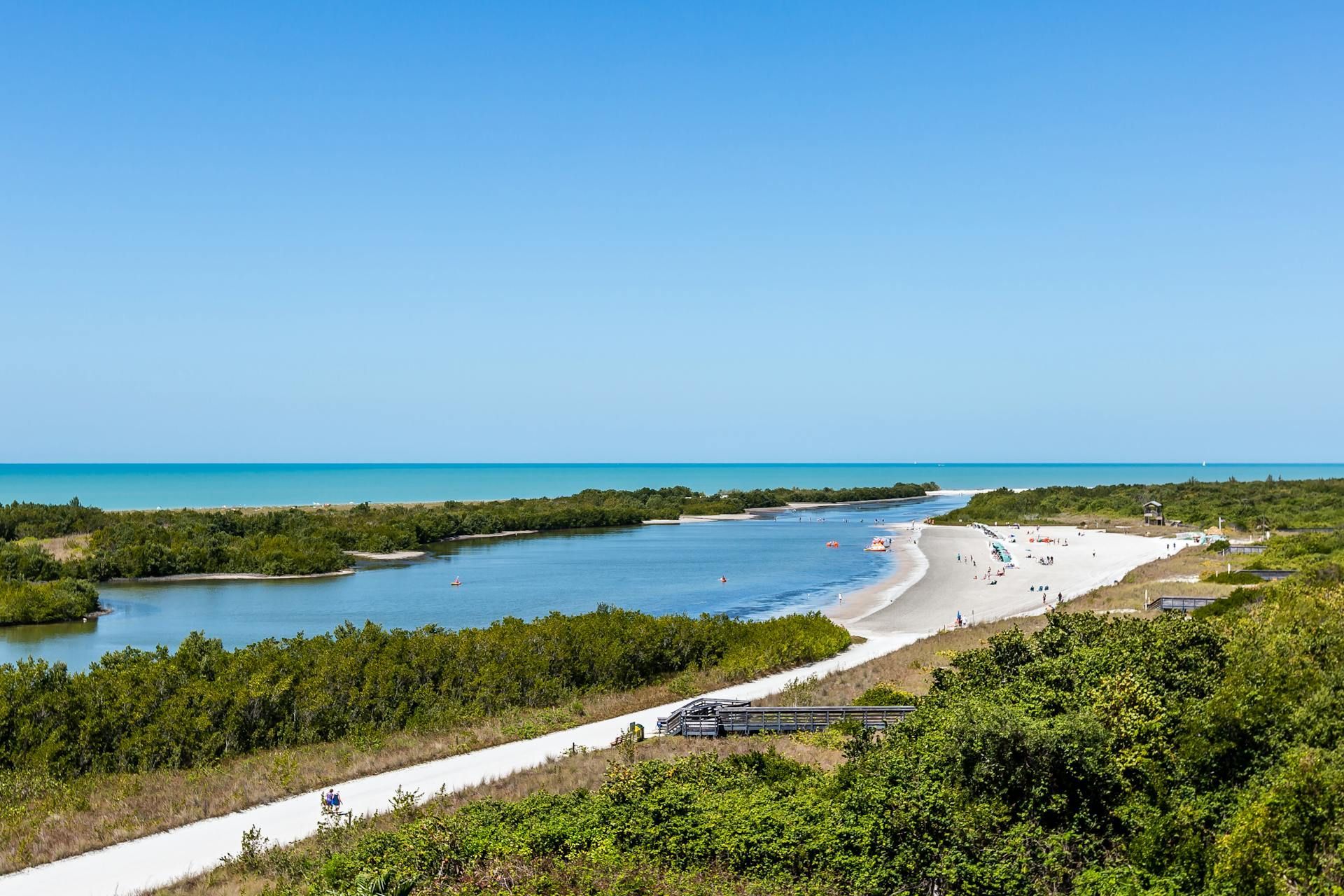 An aerial view of a beach surrounded by trees and a body of water.