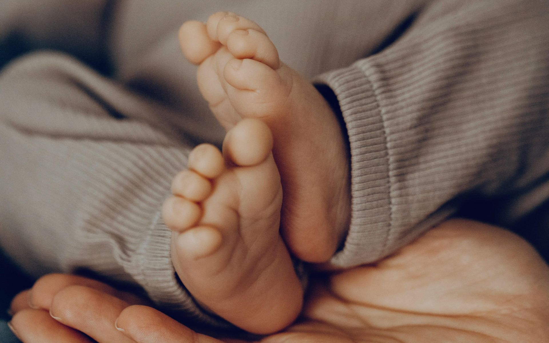 Baby's feet resting in an open hand, close-up. Soft skin, tan pants.