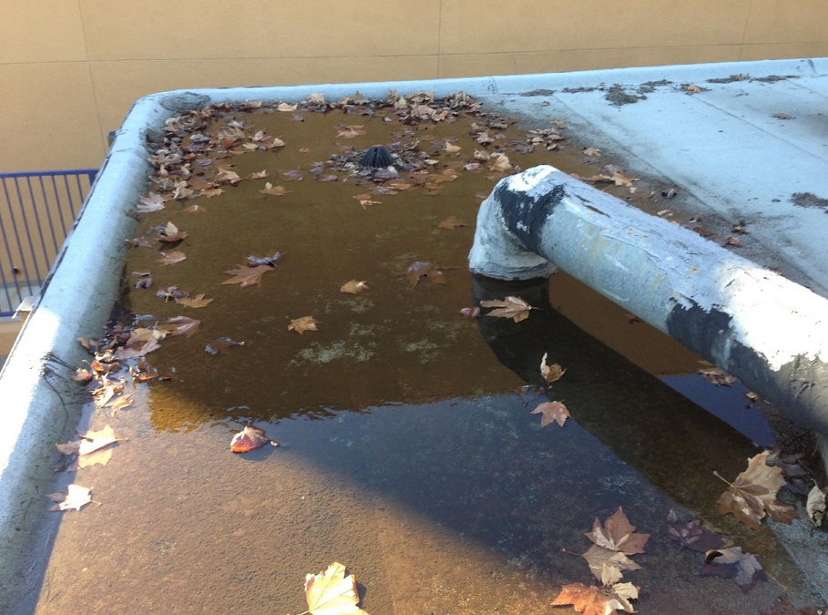Ponds and puddles of standing water on roof