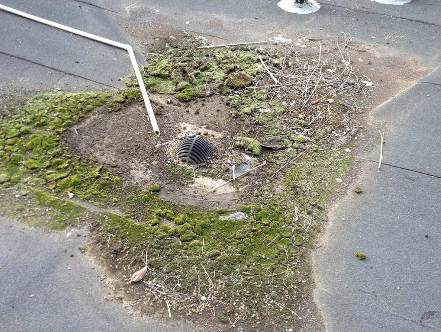 ponding water with dirt accumulation in shallow areas of the roof