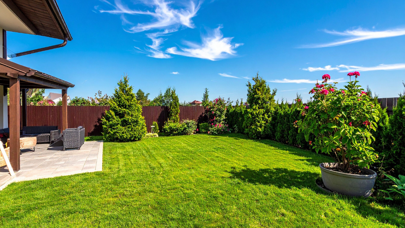 Green lawn in backyard, bordered by trees and fence, under a bright blue sky.