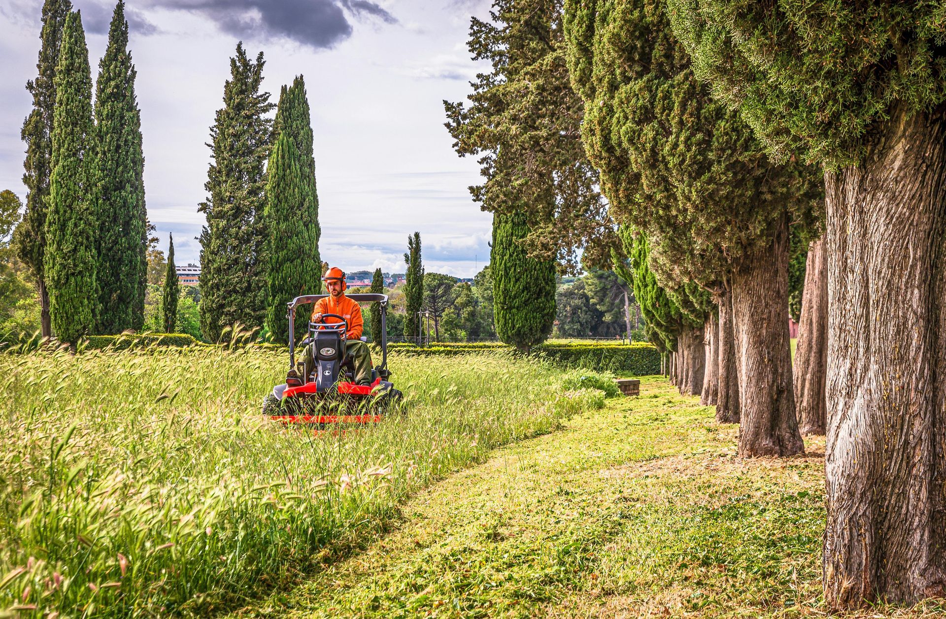 A person in bright orange work gear operates a red lawn mower in a grassy field beside a row of tall, thin cypress trees.