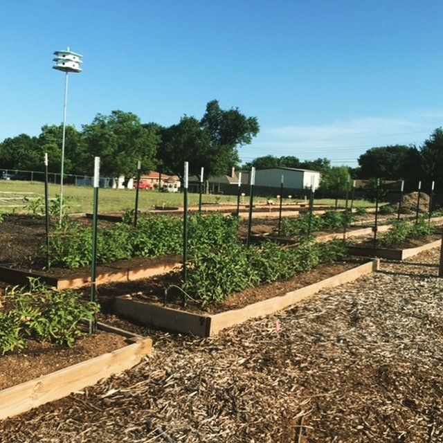 Gardens at Christ Community Gardens in Greenville, TX