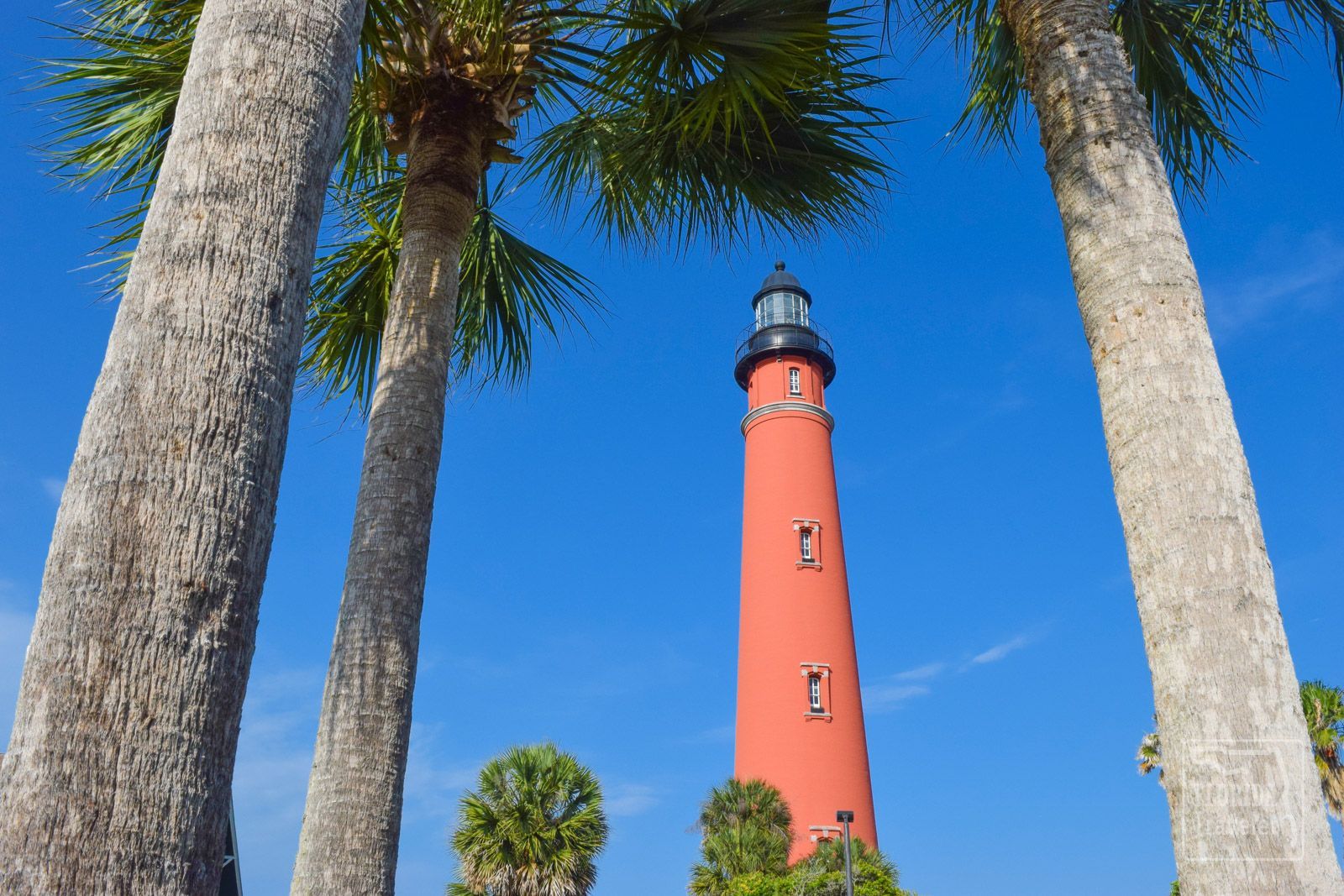 Tall red lighthouse framed by palm trees, against a bright blue sky.