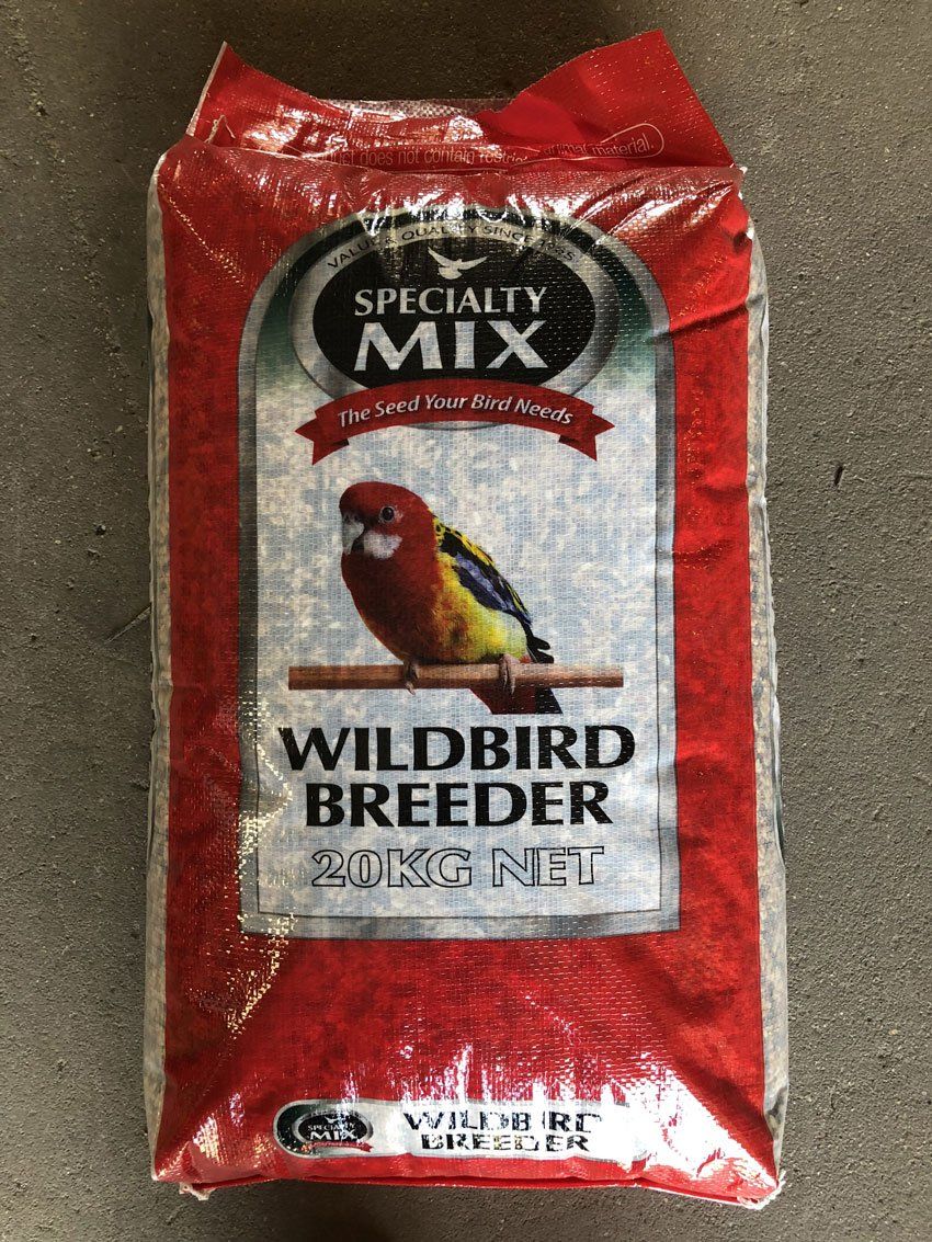 birds food