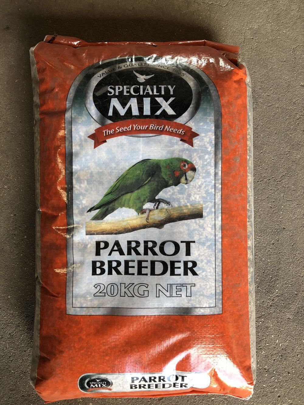 birds food