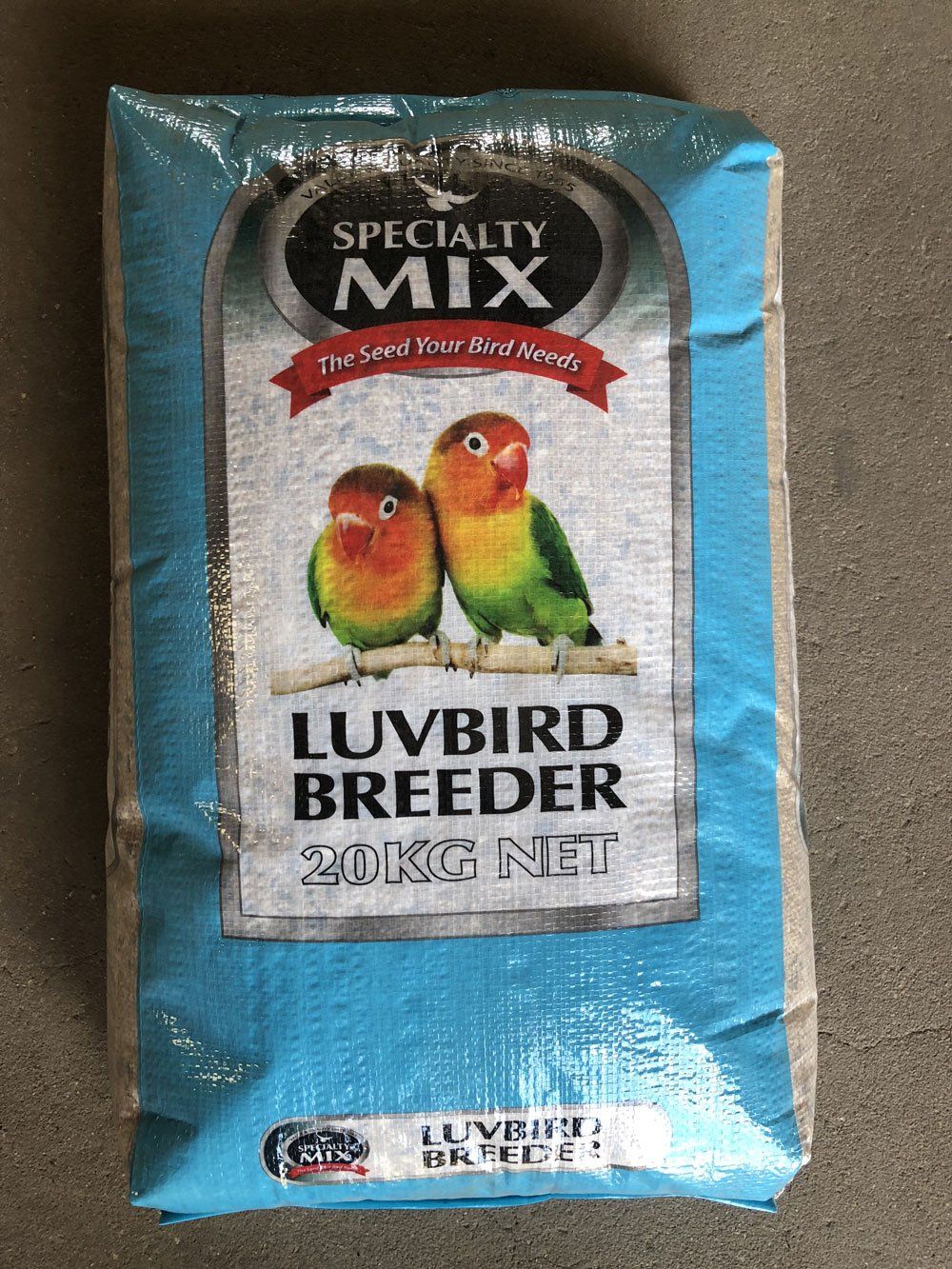 birds food