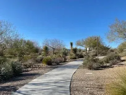 Mobile Detailing-a concrete walkway in the middle of a desert surrounded by trees and bushes .