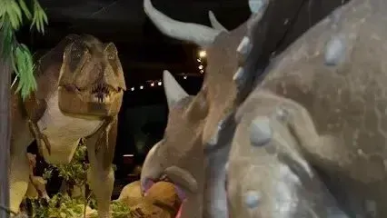 Mobile Detailing-a t-rex and a triceratops are standing next to each other in a museum .