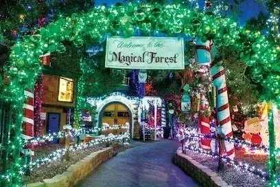 Mobile Detailing-a sign that says `` welcome to the magical forest '' is surrounded by christmas lights .