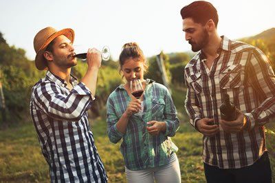 A group of people are drinking wine in a vineyard.