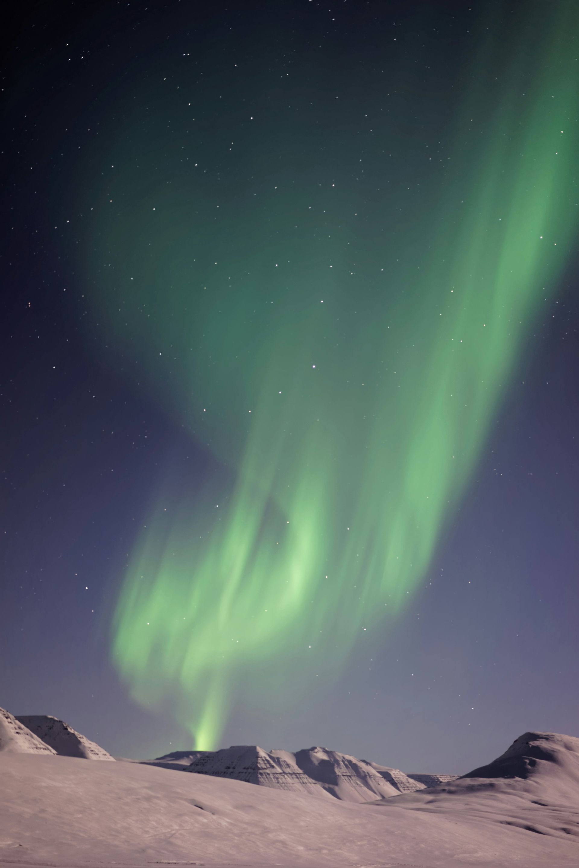 The aurora borealis is dancing in the night sky over a snowy mountain range.
