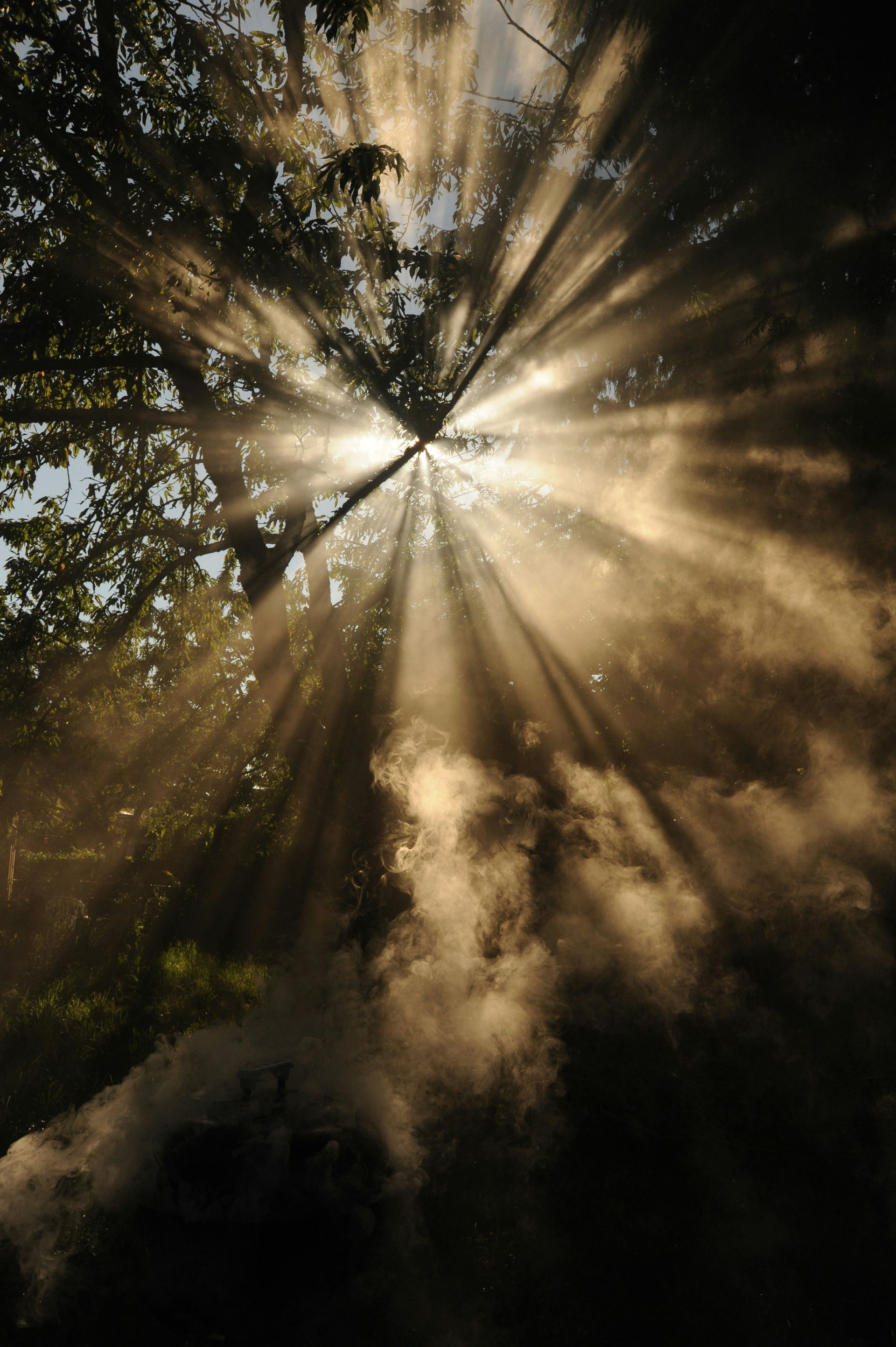The sun is shining through the trees and clouds