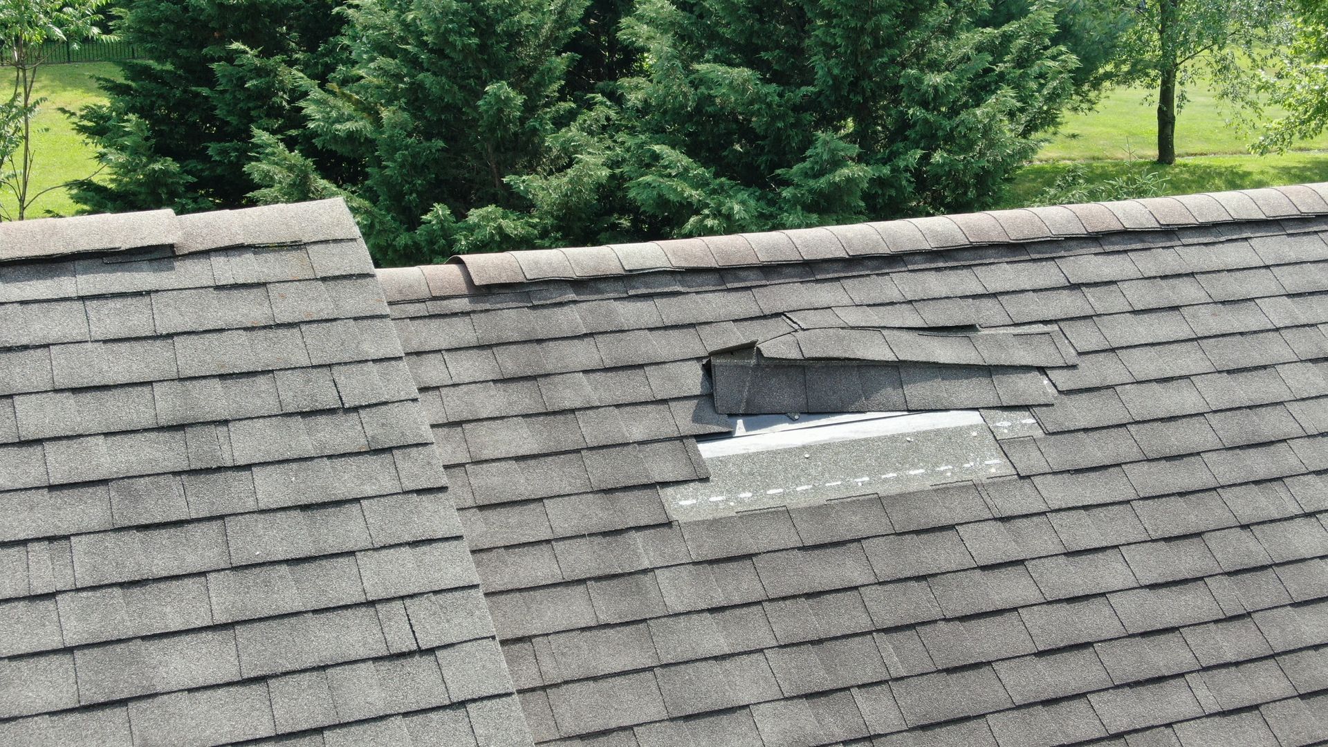 Damaged asphalt shingle roof, missing shingles exposing the underlayment, with a treeline in background.