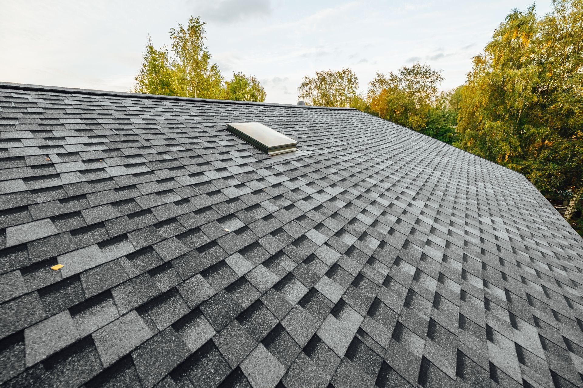 Dark gray asphalt shingle roof with a skylight; trees in the background.