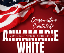 Vote for AnnaMarie White for Senate District 45