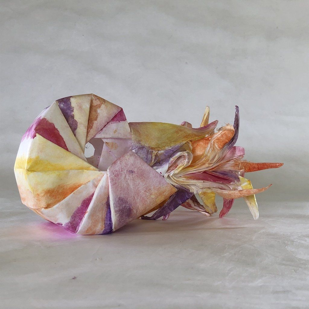 origami nautilus