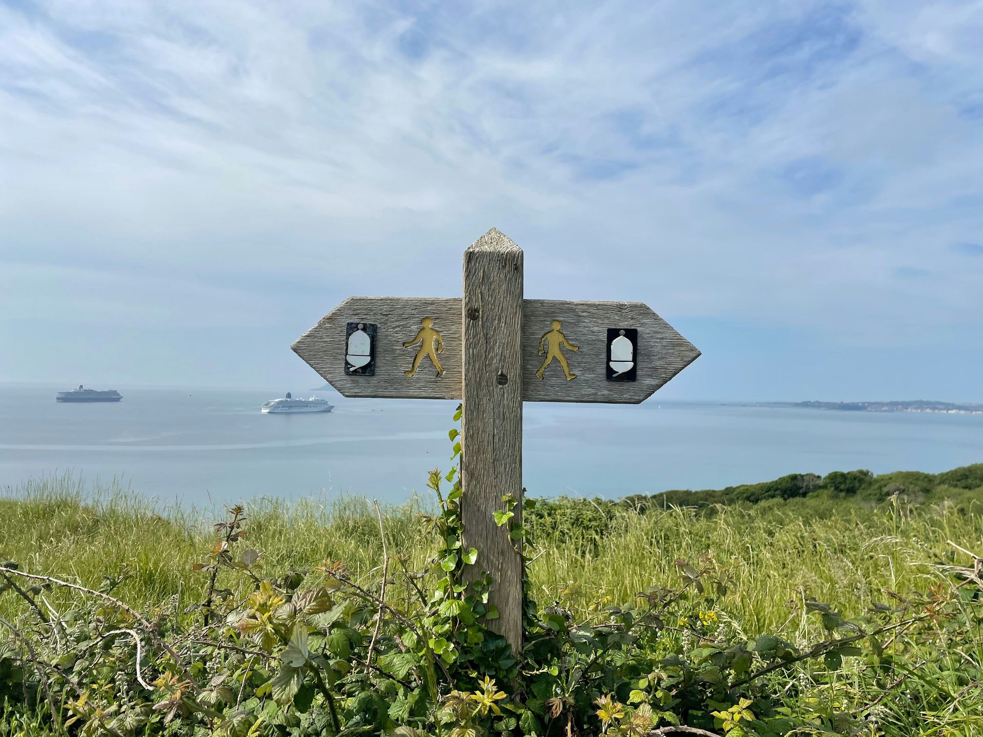 Wooden signpost with walking symbols overlooking serene sea and ships in the distance