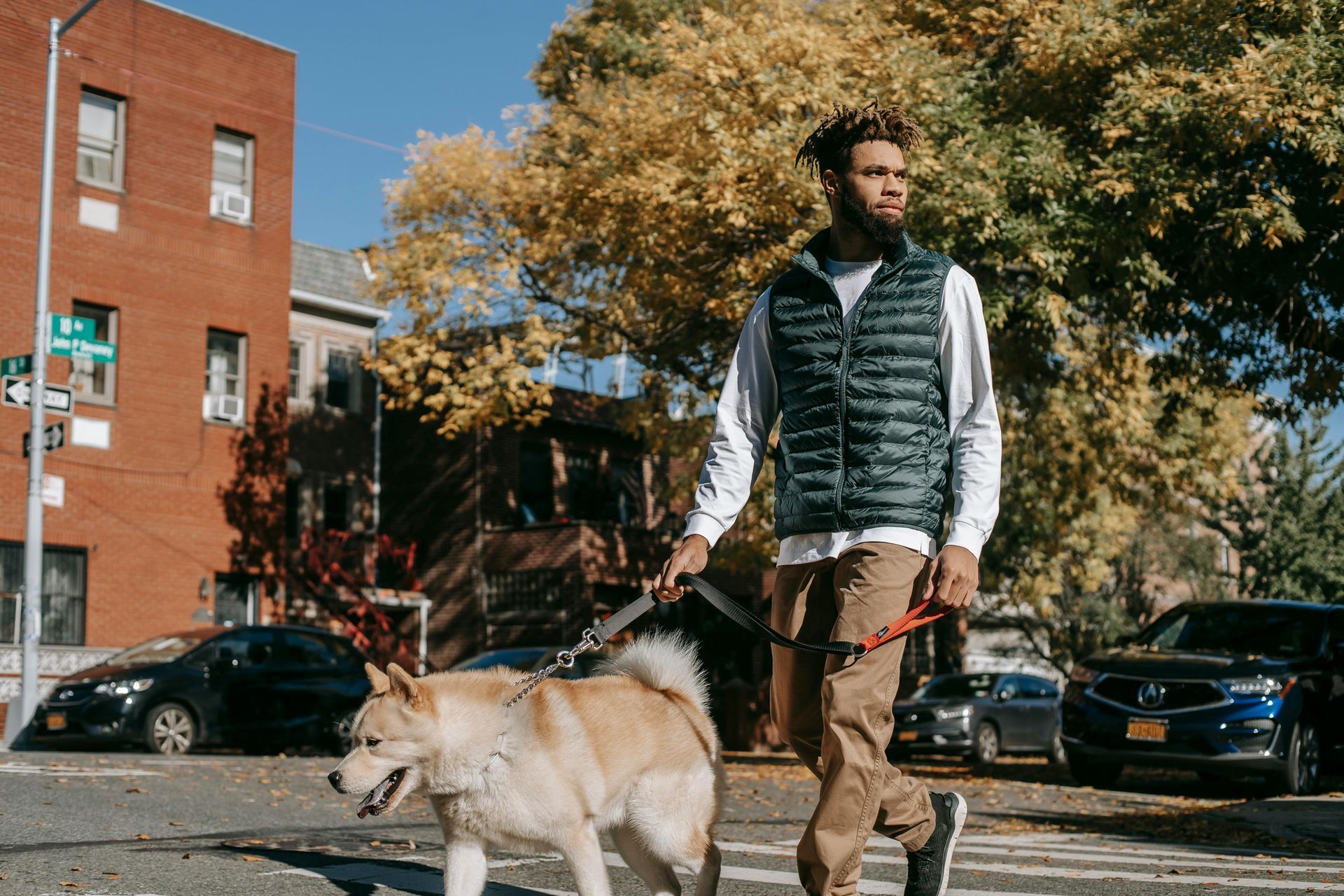 young black man walking his dog in NYC just found out his girlfriend is pregnant