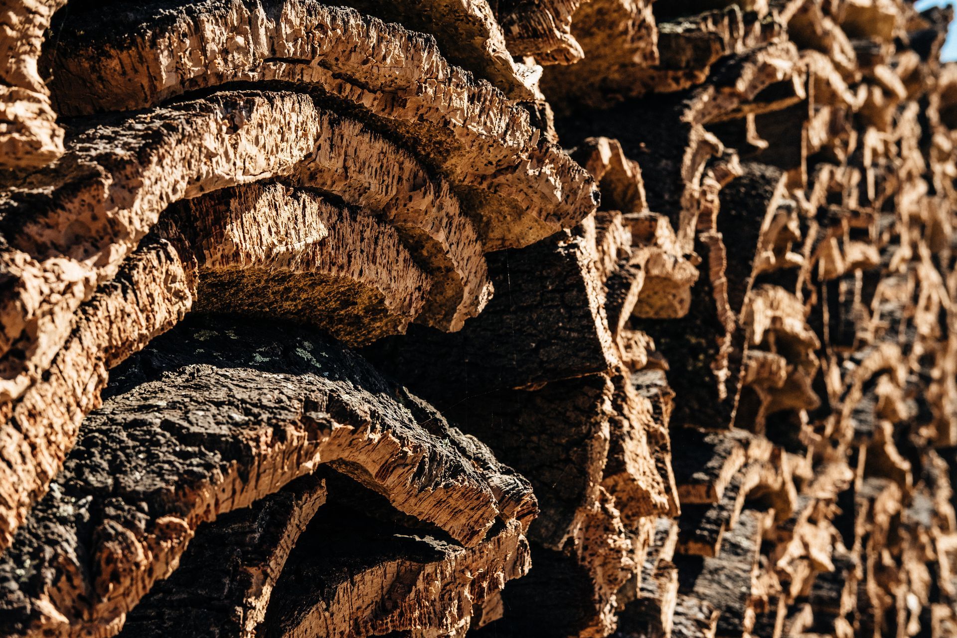 A plentiful pile of cork bark ready for processing, showcasing a sustainable alternative to teak for yacht decks