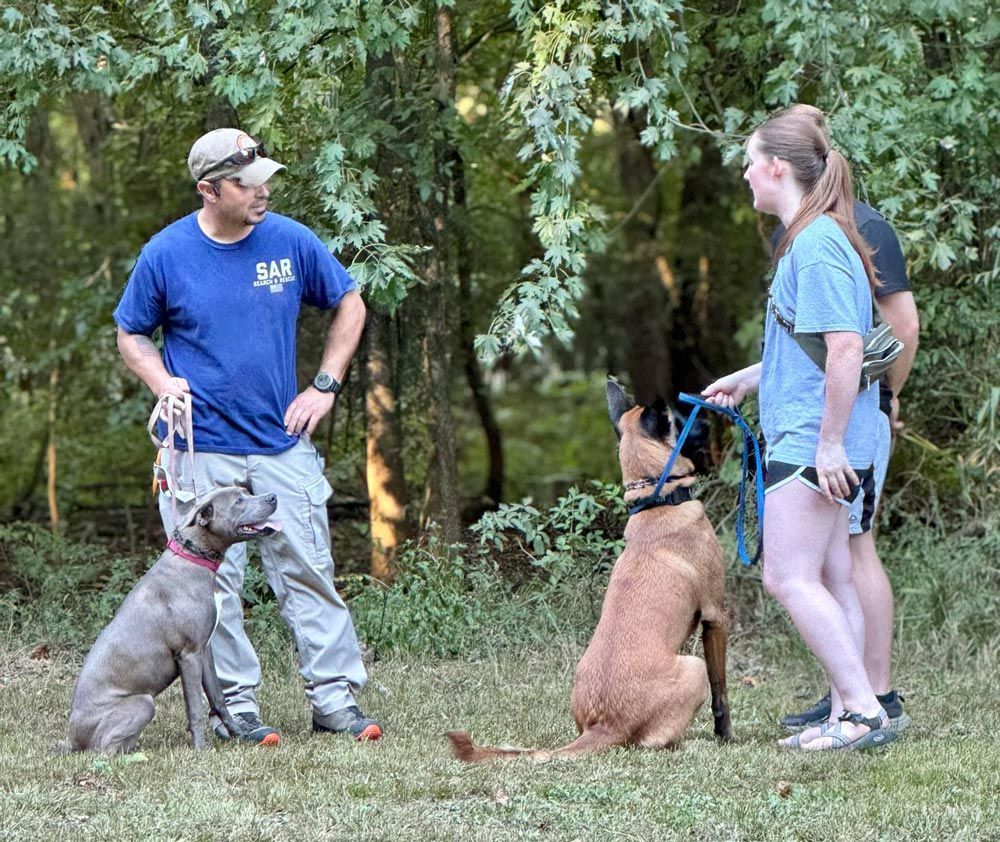 Two people training dogs in a wooded area. One person holds a gray dog, the other, a brown dog.