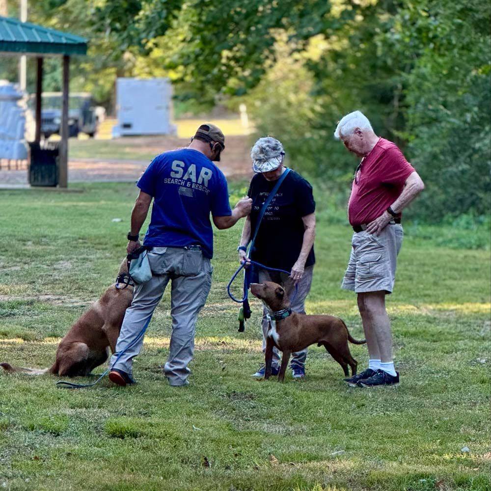 Two people training dogs outdoors with a third person watching. Park setting, sunny day.
