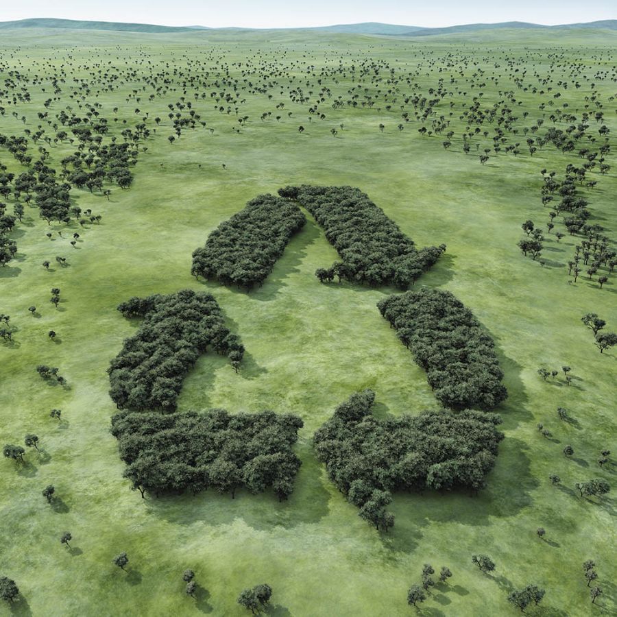 alberi che formano simbolo di riciclaggio