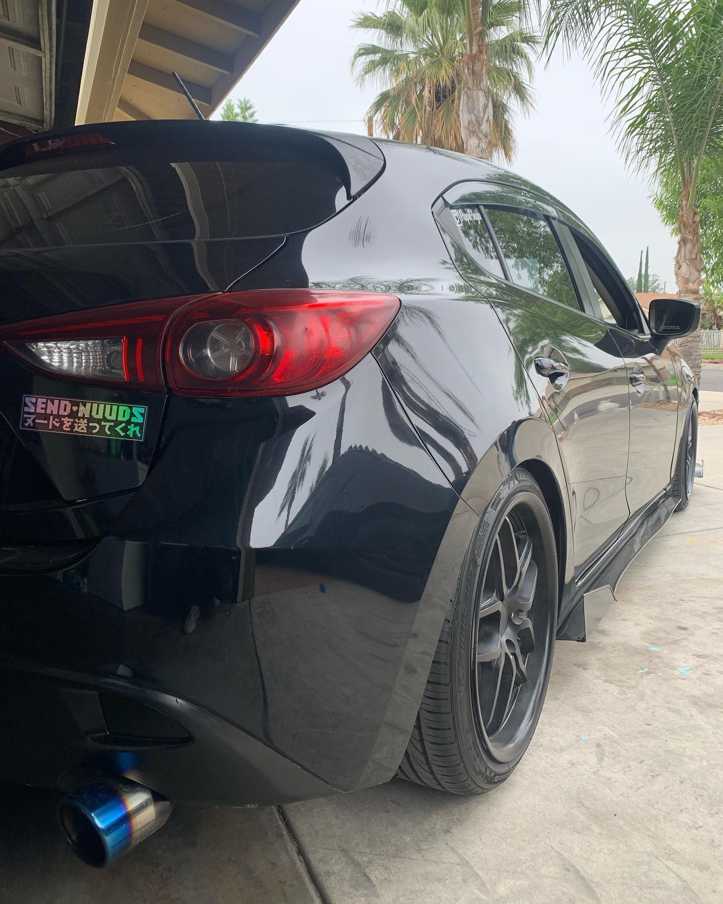 A black car is parked in a driveway next to a palm tree.