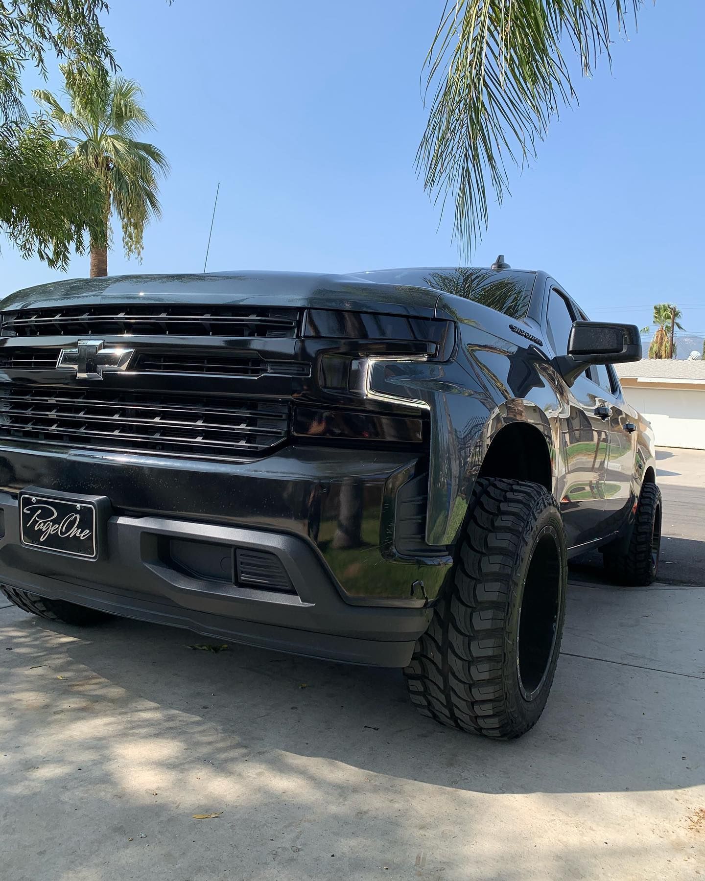 A black truck is parked in a driveway next to a palm tree.