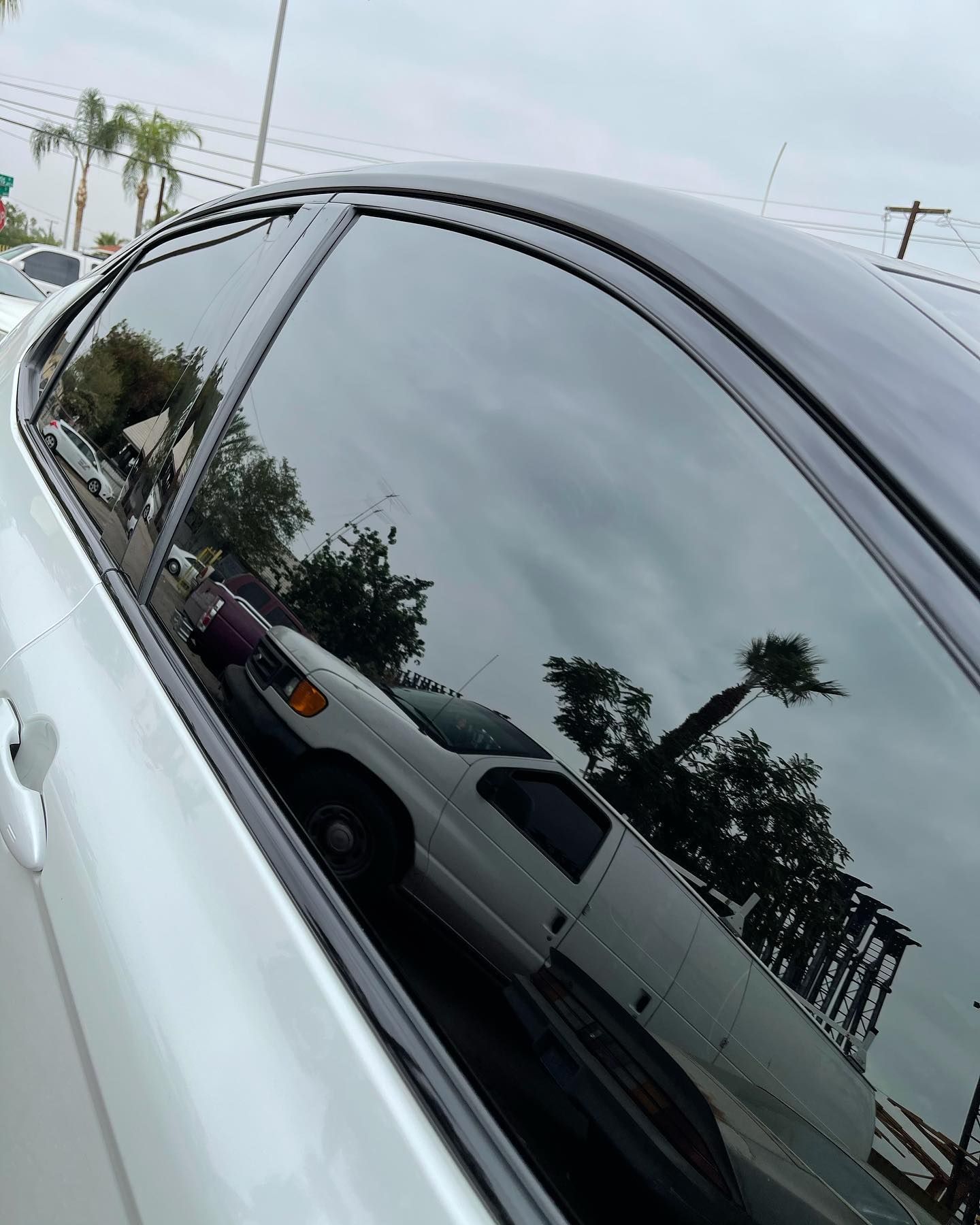 A car with a reflection of palm trees in the window