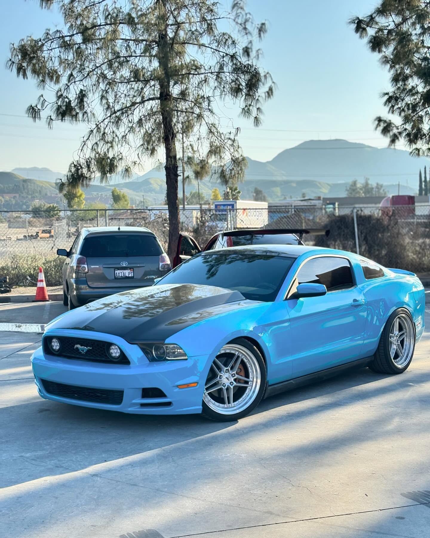 A blue mustang with a black hood is parked on the side of the road.