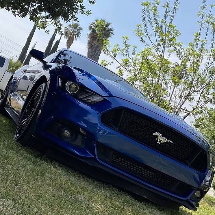 A blue mustang is parked in the grass with palm trees in the background