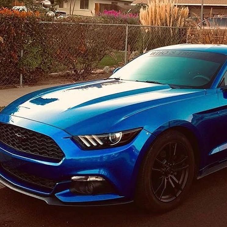 A blue mustang is parked in front of a fence