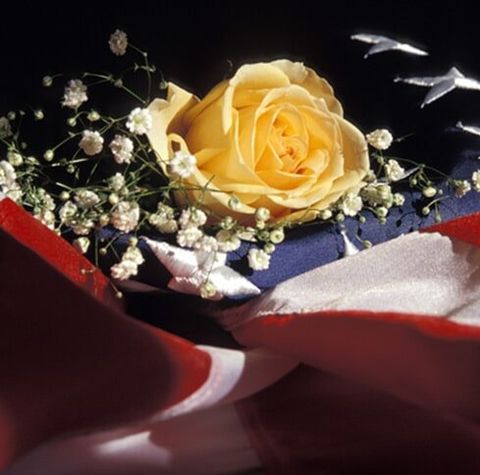 Yellow Rose On American Flag —  Tribute DVD Memorial Services in Fraser, MI