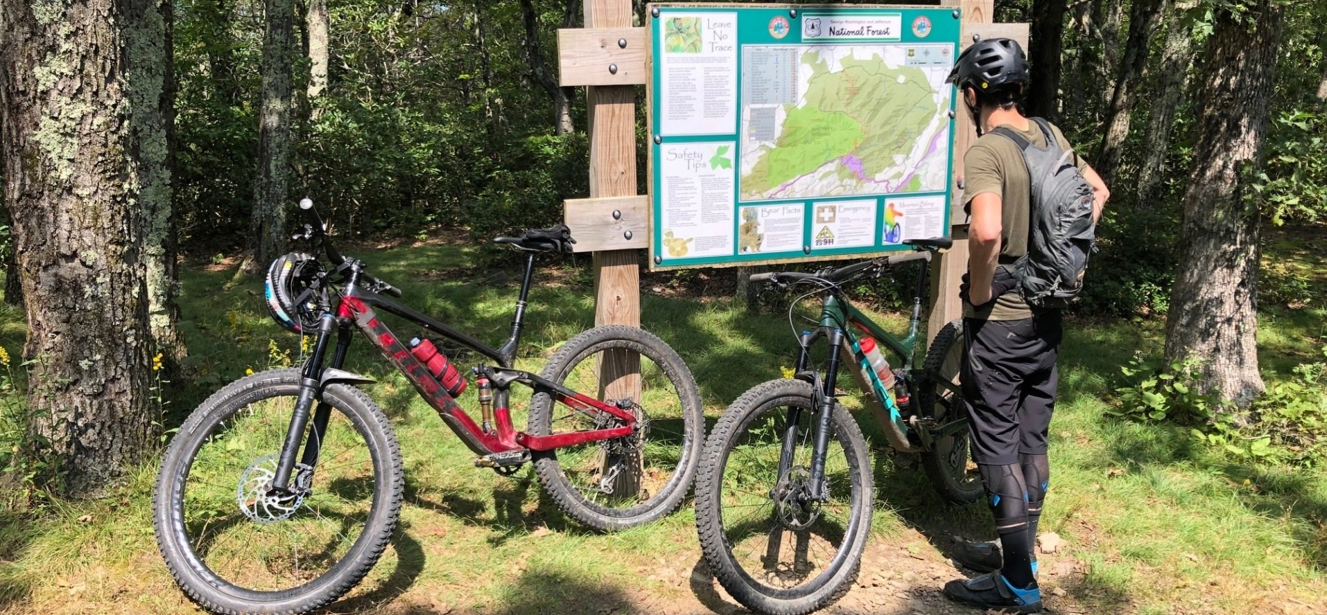 A man is standing next to two bicycles in the woods looking at a map.