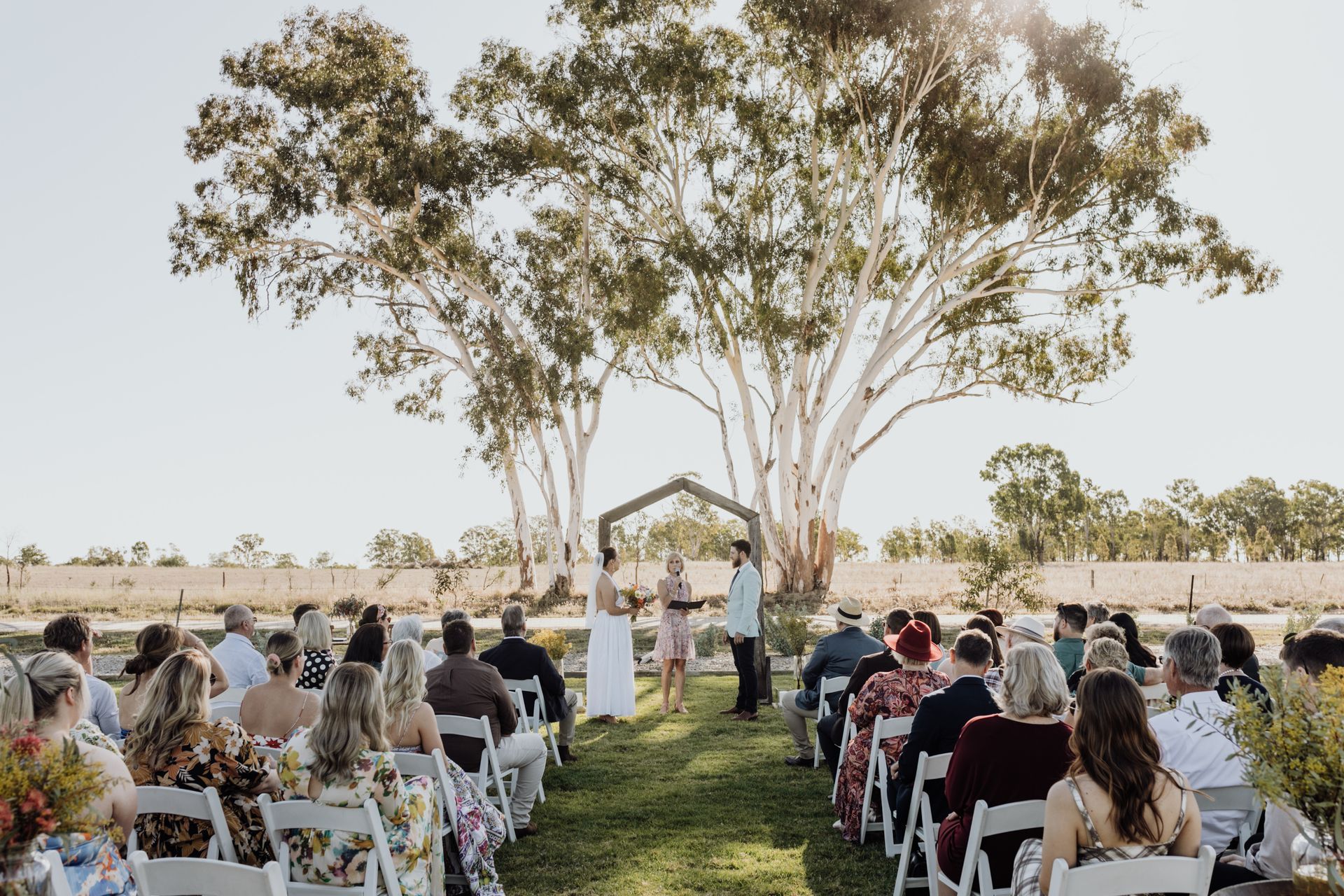 A group of people are sitting in chairs at a wedding ceremony under a tree.
