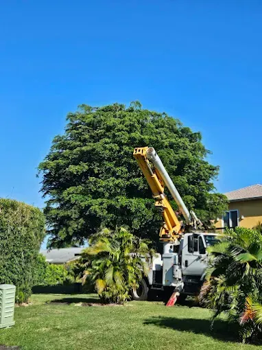 A crane is cutting a tree in a yard.