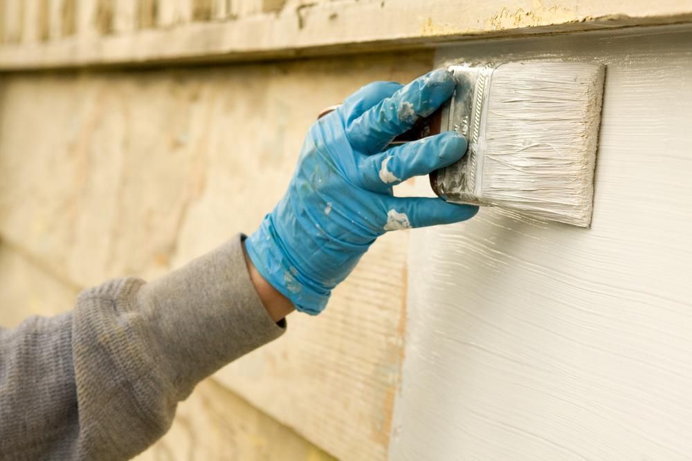 A Person Wearing Blue Gloves Is Painting A Wall With A Brush — Paint & Trade Supplies Lismore In Lismore, NSW