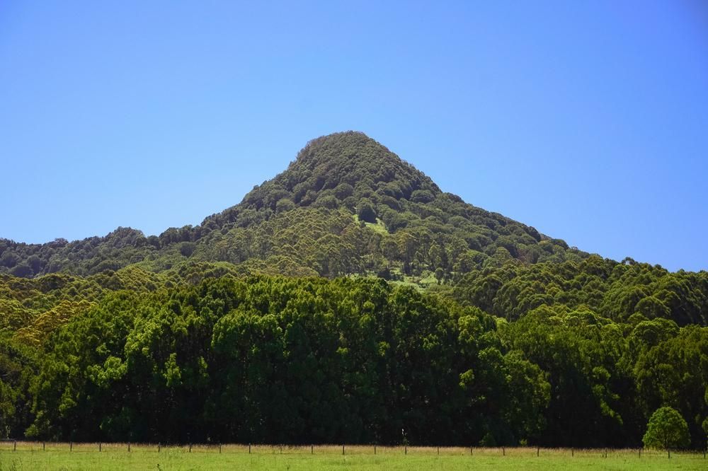A Mountain With Trees On It And A Field In Front Of It — Paint & Trade Supplies Lismore In Mullumbimby, NSW