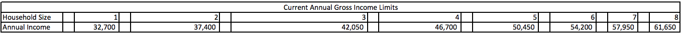 Current Annual Gross Income