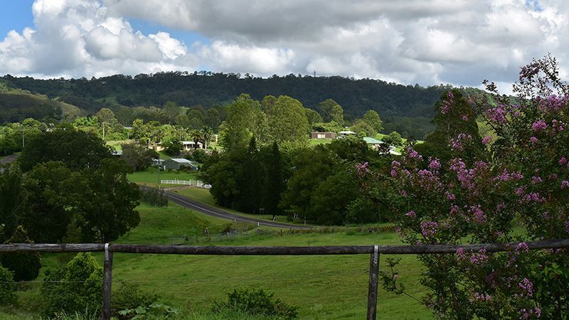 A Fence With Trees and a Mountain in the Background — Hennig Electrical Services in Nambour, QLD
